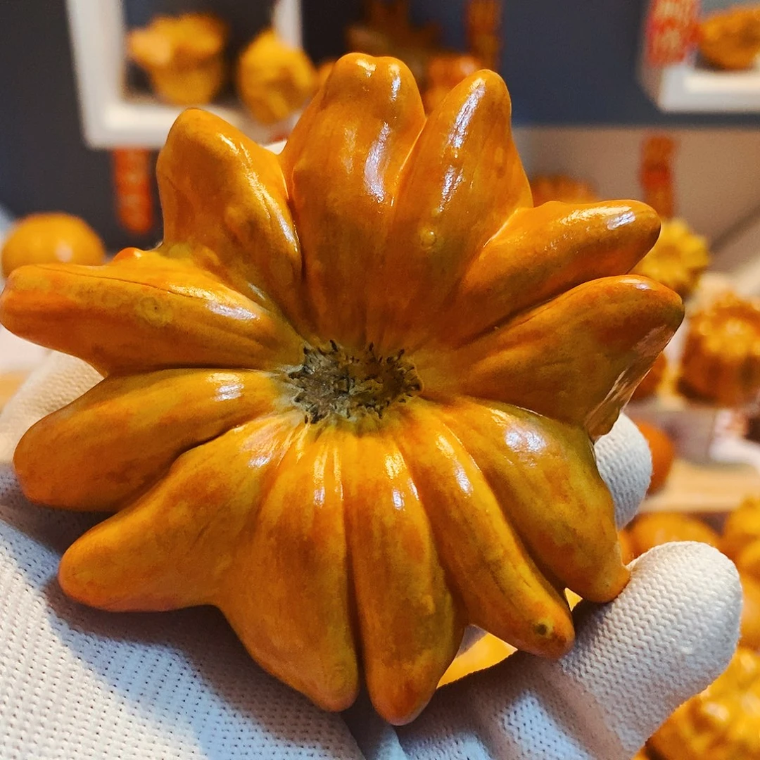 阿*墨西哥葫芦瑕疵太阳花无售后