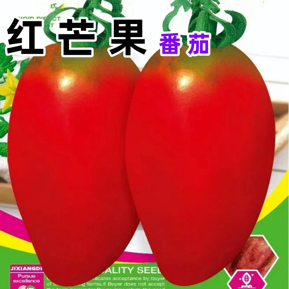 【满5包包邮】红芒果番茄种子超甜西红柿种子东北洋柿子种籽阳台