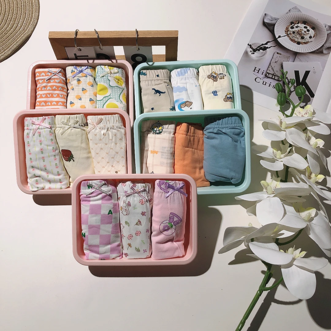 Y013儿童新款盒装打底短裤3条