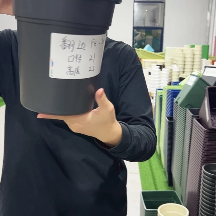 翻边口21高22陶红色彩6支无托