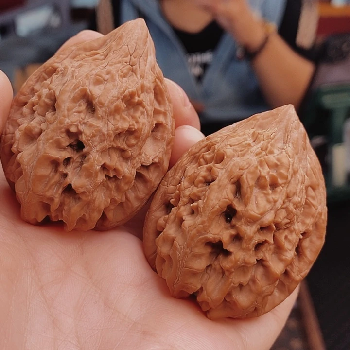核桃41大沽石核桃