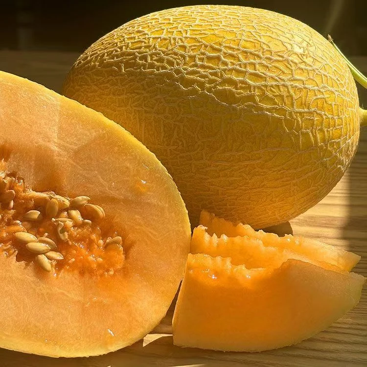 正宗新疆黄金哈蜜瓜当季脆甜爽口新鲜水果香甜可口金色哈密瓜