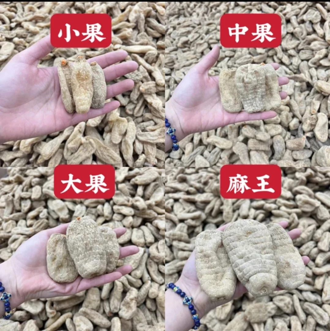 （干天麻果）正宗云南小草坝乌天麻自然无硫