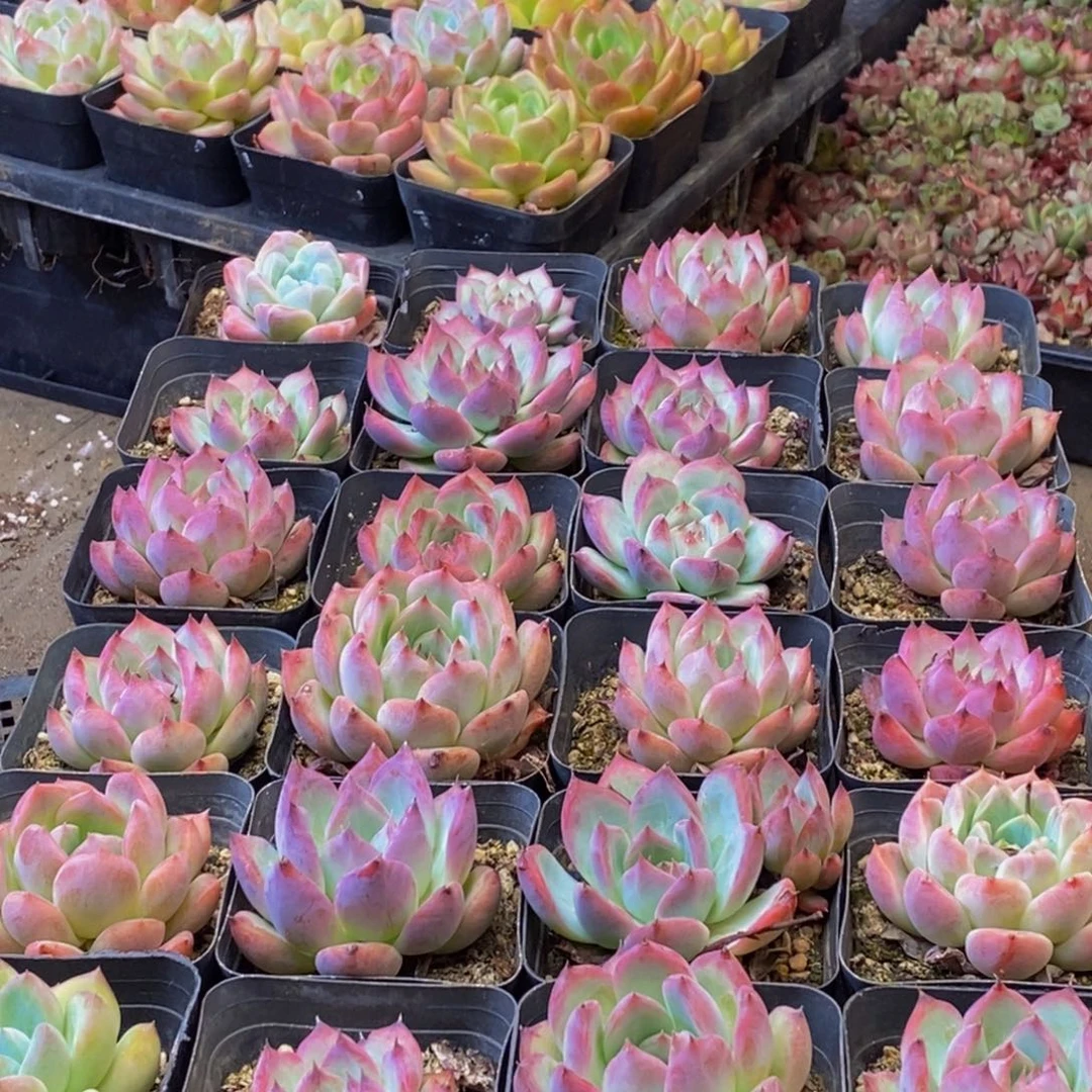 194的人在一起的时候就会