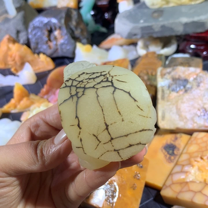 石英质玉（黄龙玉）未镶嵌颈饰