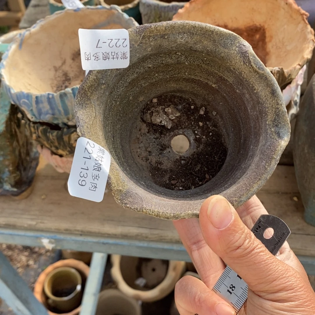 红陶139号多肉盆一个随单发