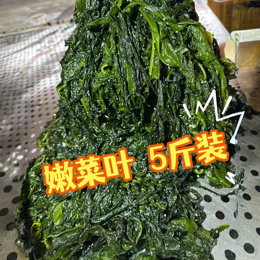 【威海特产】2025年春季出口级头茬脱水裙带叶