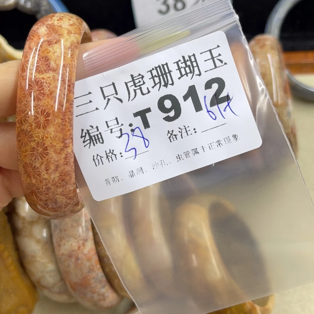仙***境硅化珊瑚（珊瑚玉）h未镶嵌
