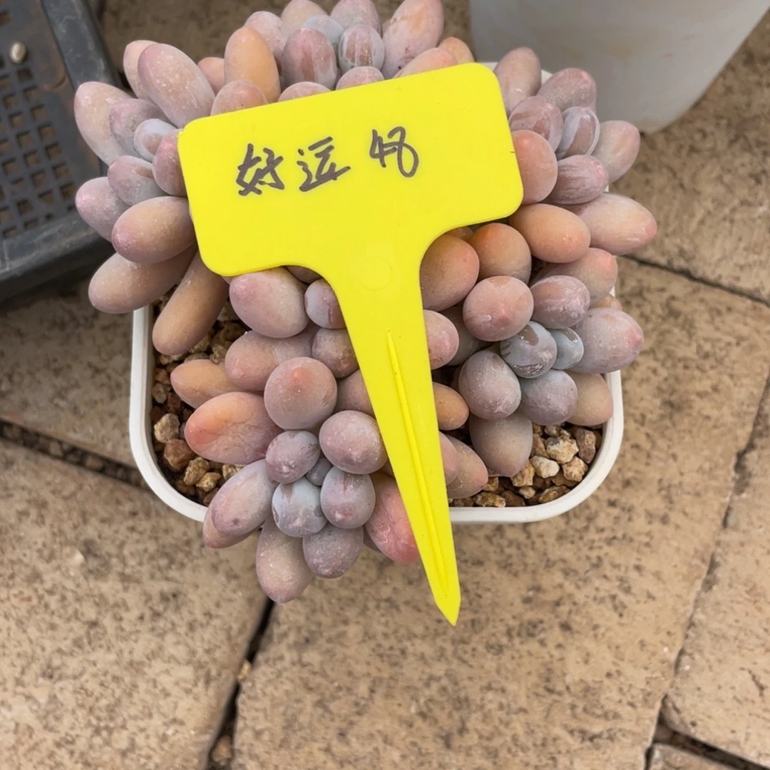 好***满好运48。