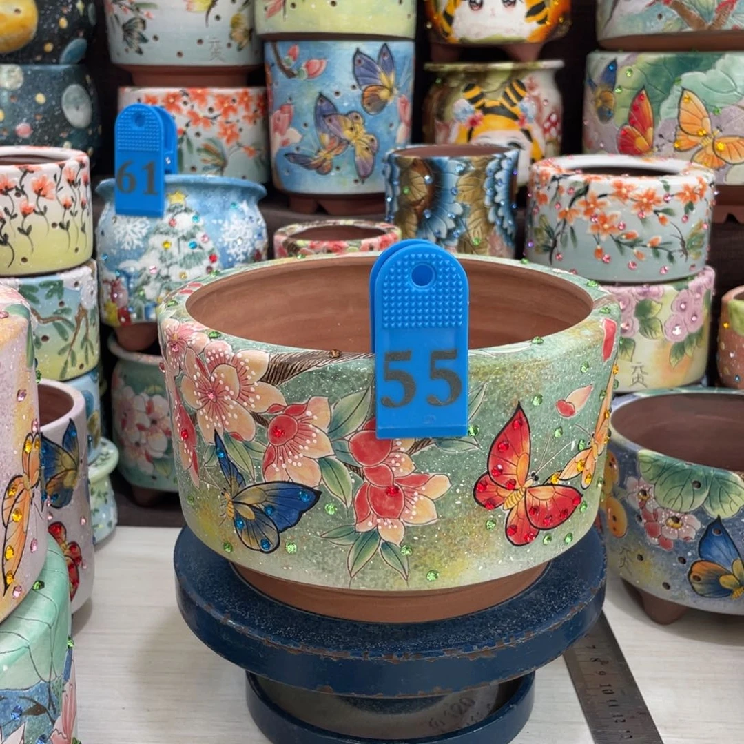 多肉花盆蝴蝶拼盘