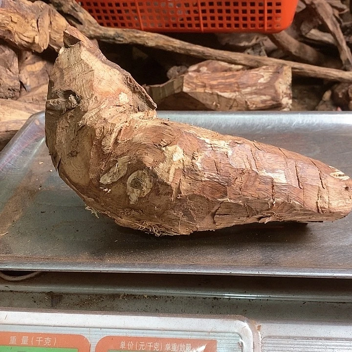 花梨木类沉**金海南黄花梨