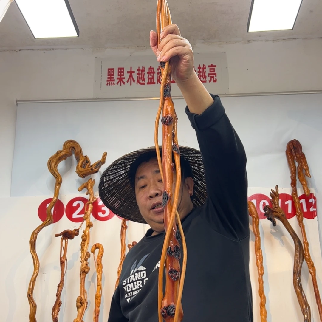 兜***糖黑果木其他黑果木123