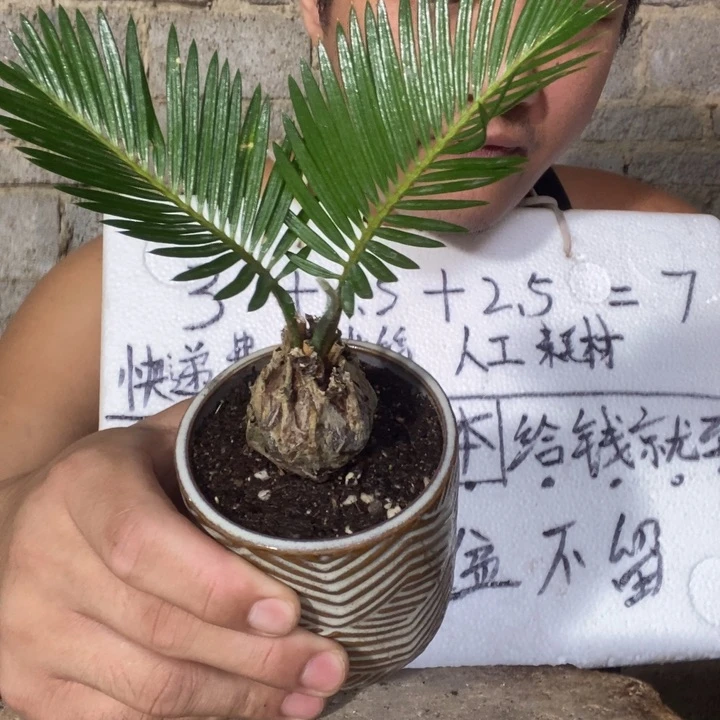 退款拉黑一物一拍384