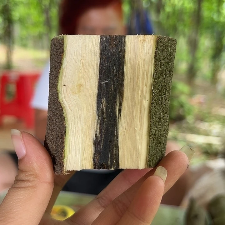 线香奇楠沉香原木