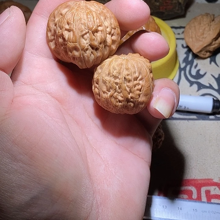 ****节全品没修磨盘一对