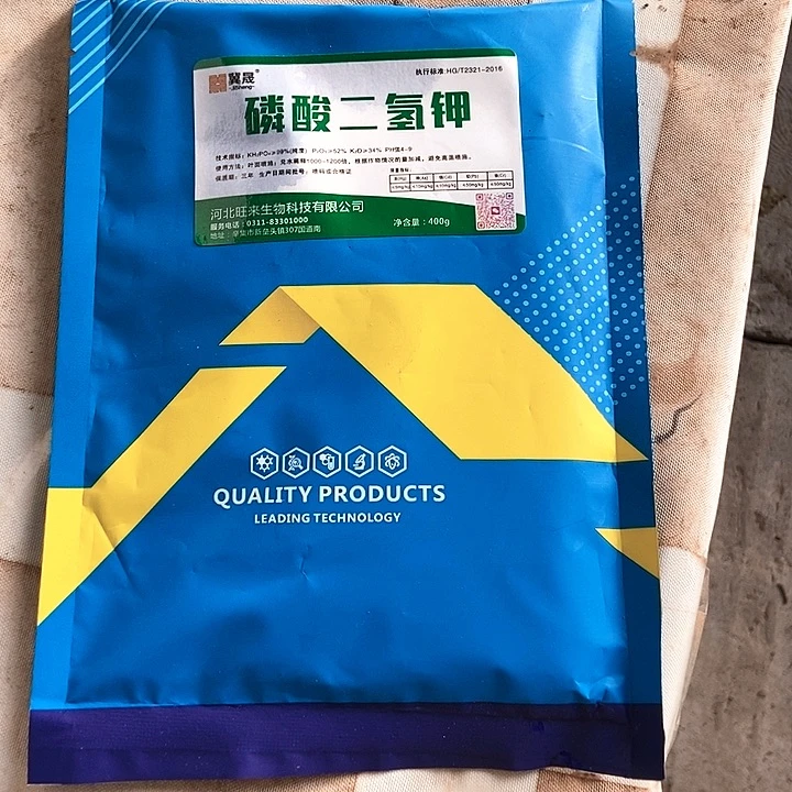 无花朵三角梅肥磷酸二氢钾肥mmmmmmbbbbn