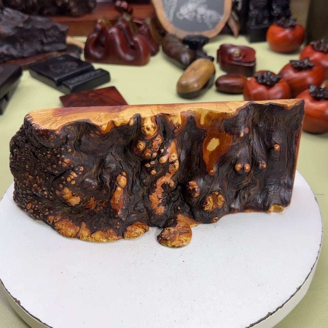 大果紫檀（缅甸花梨）秋*⋯