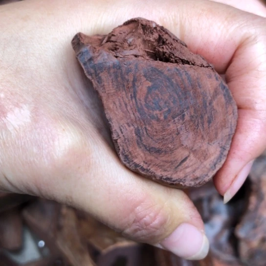 其他黄花梨/降香黄檀