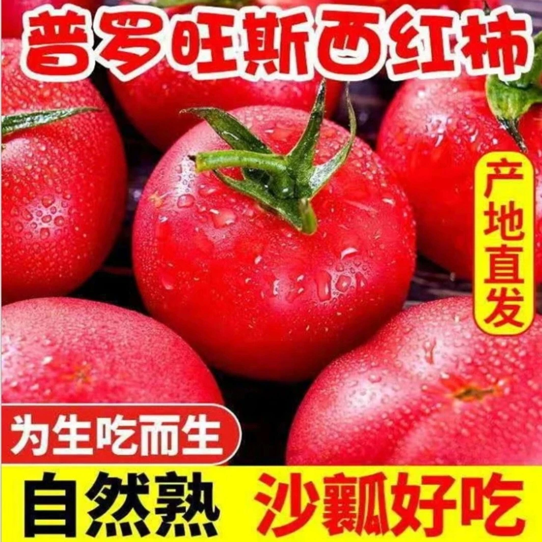 陕西普罗旺斯基地直发水果西红柿沙甜草莓芯自然成熟后发货
