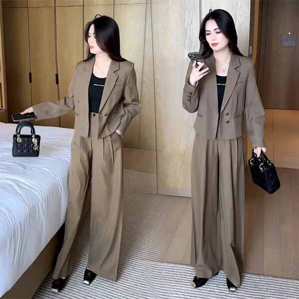 2025秋季新款休闲时尚穿搭气质洋气收腰显瘦不挑人长袖套装