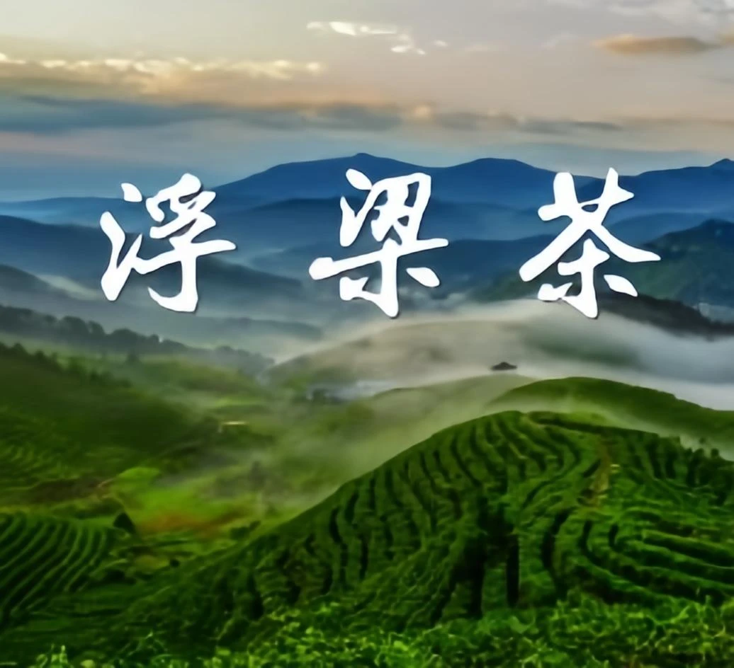 坞里 浮梁高山茶大礼包
