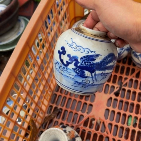 核桃木/黑胡桃（胡桃木）乄*