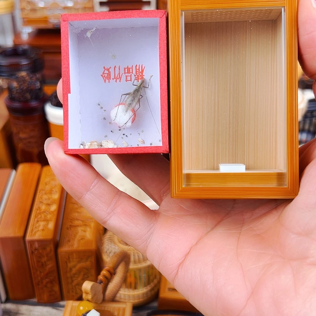 木曹自康玉竹音箱竹蛉盒+黑竹蛉