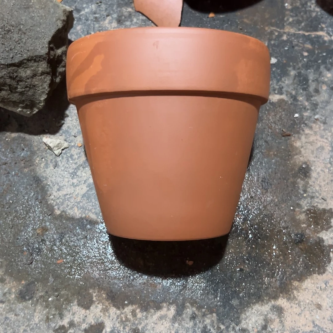 窑变19口17高1个【微瑕】