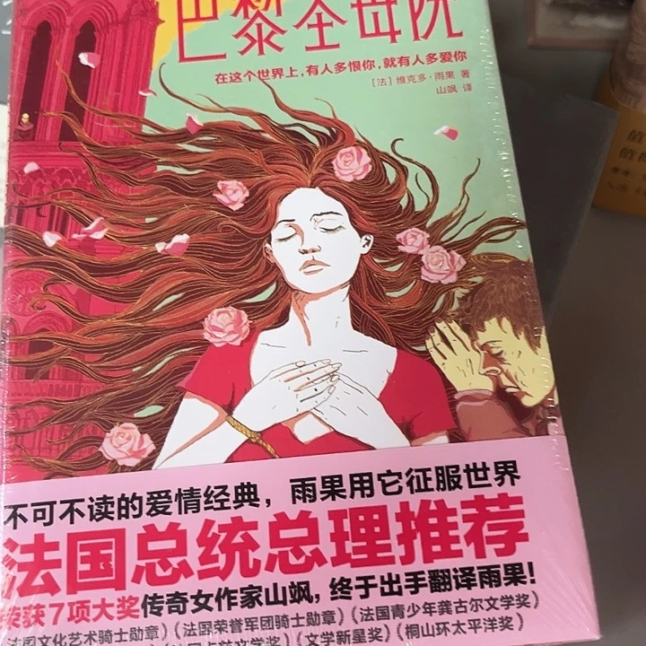 巴黎圣母院新书推荐
