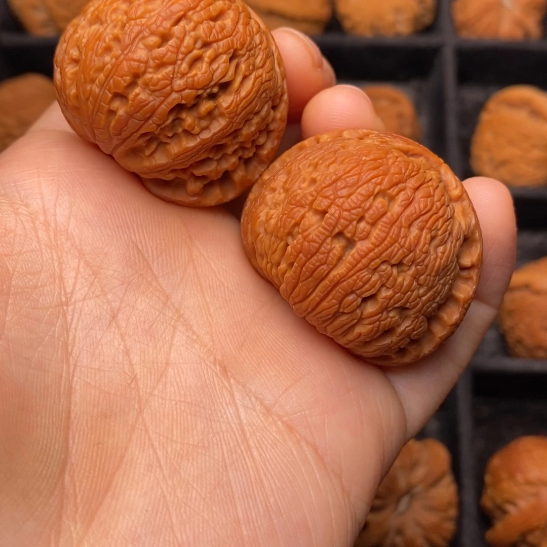 文玩核桃把件秦岭野生核桃