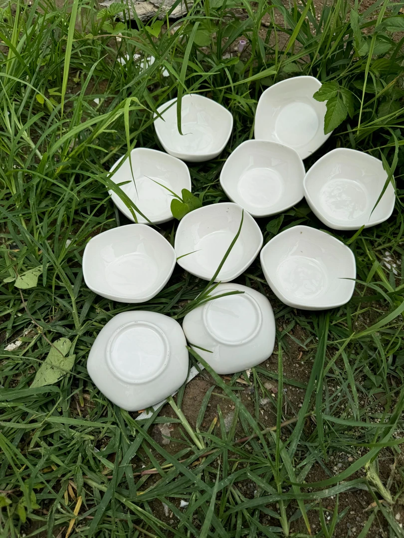 A十920五角碟四寸碟微瑕