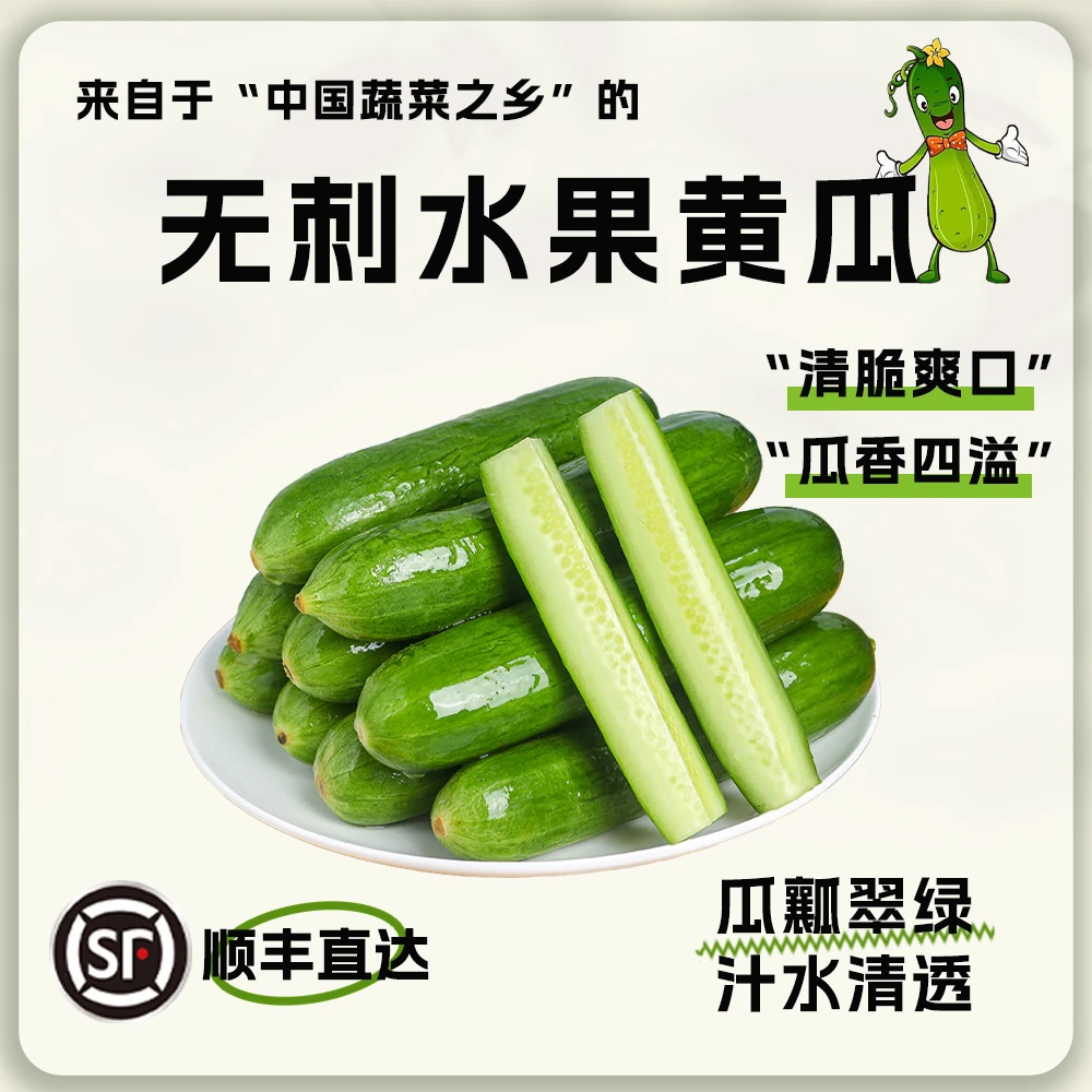 新鲜正宗水果小黄瓜无刺山东寿光农家小青瓜清脆代餐新鲜现摘现发