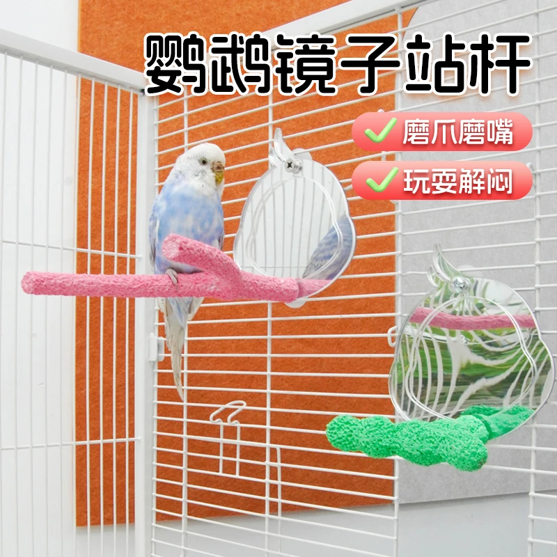 【宠大条】鹦鹉亚克力站架鸟镜子趣味解闷鸟玩具玄凤牡丹玩耍站架镜