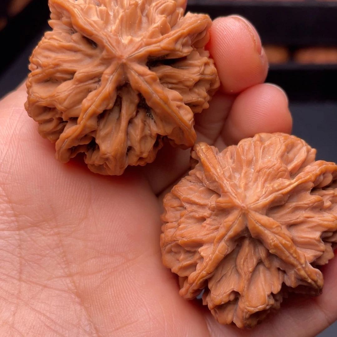 秦岭山脉文玩核桃