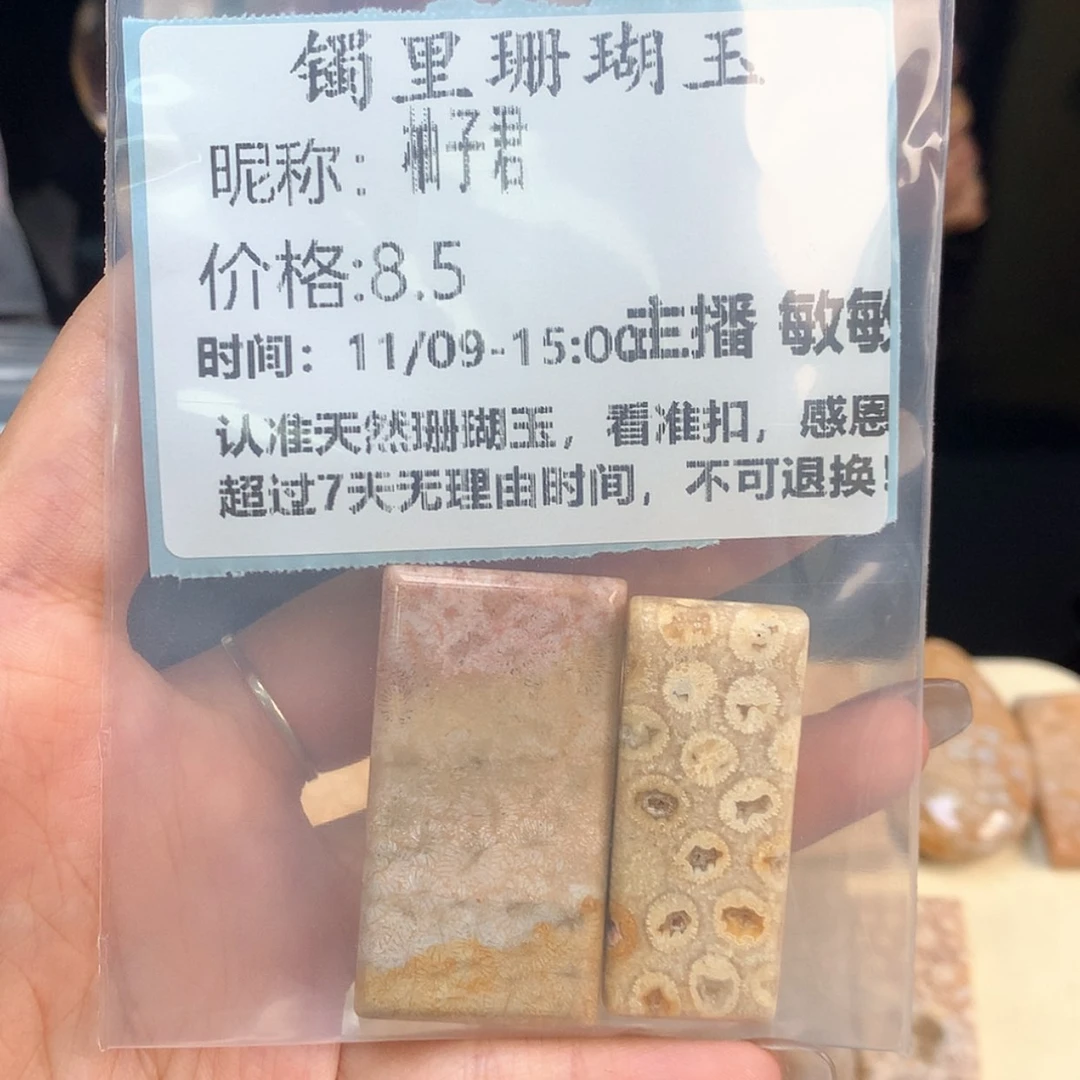 【闪购商品】颈饰未镶嵌硅化珊瑚（珊瑚玉）柚*君
