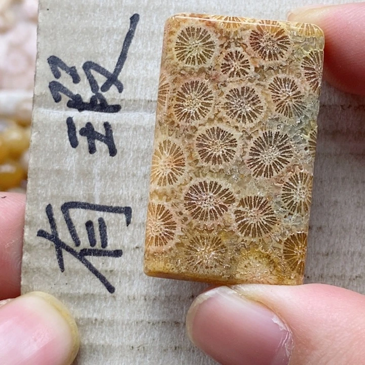 硅化珊瑚（珊瑚玉）颈饰未镶嵌