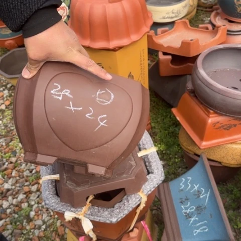 紫砂花盆紫砂花盆盆景盆栽瑕疵