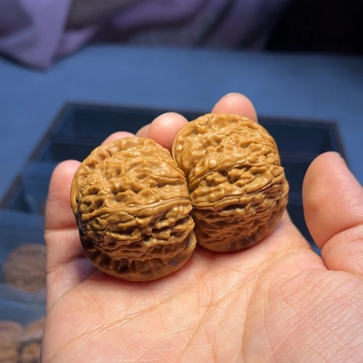 文玩核桃把件白狮子8760