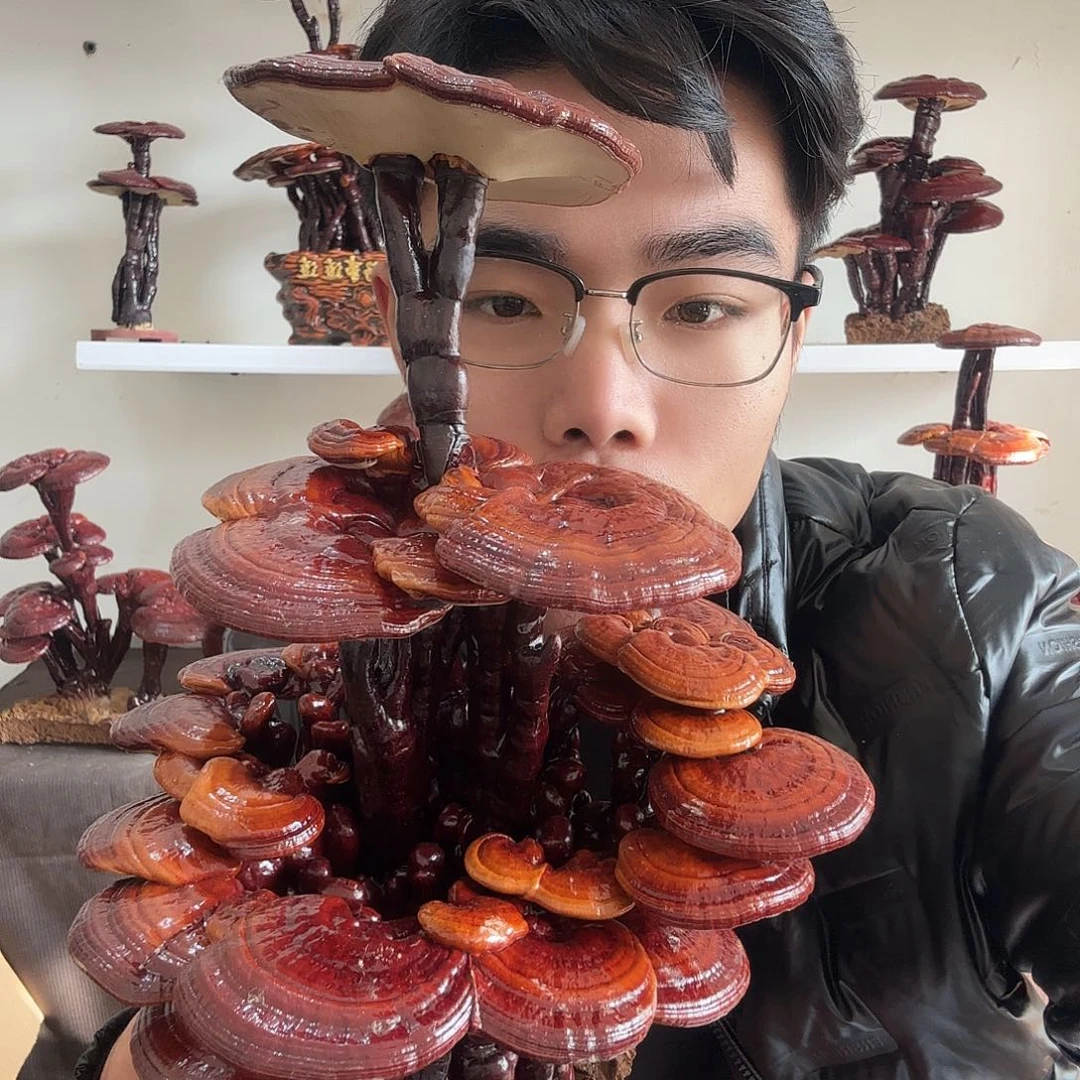 彝***霖无花朵888888888888