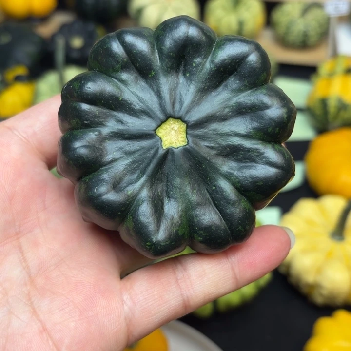 涣*福利福利福利福利