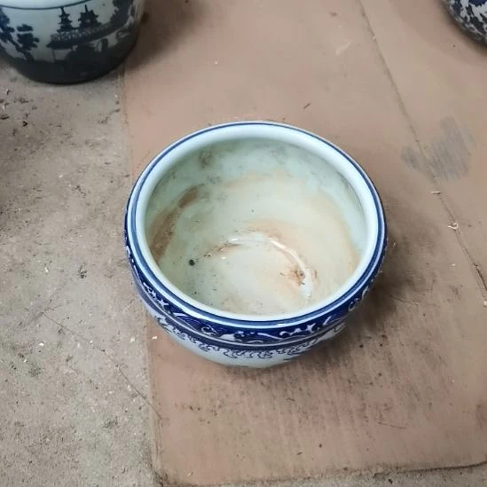瓷片玩玩具枪毙吧热热的要死