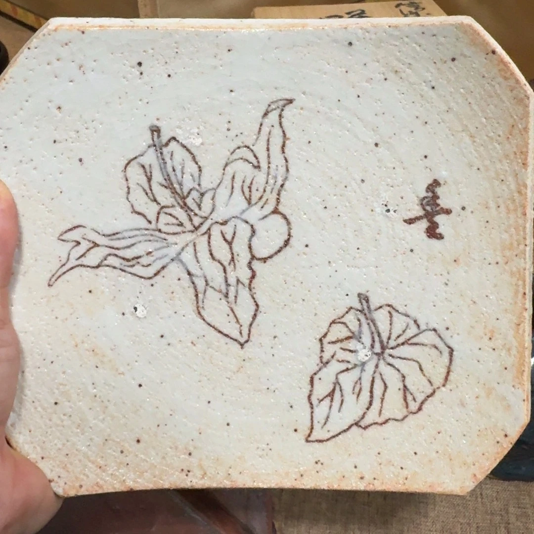 盘盘好看的好看的