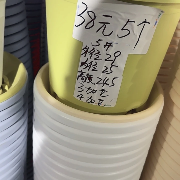 四季5号果绿无托10个特价微瑕