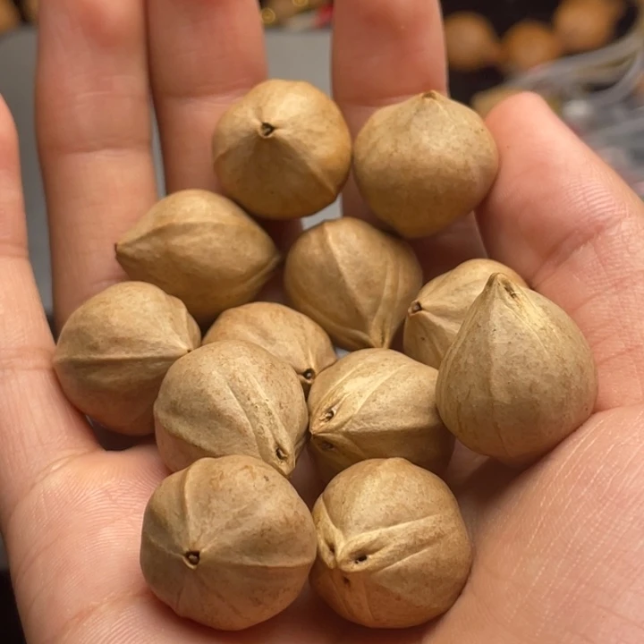 手串/手链橄榄核1.8