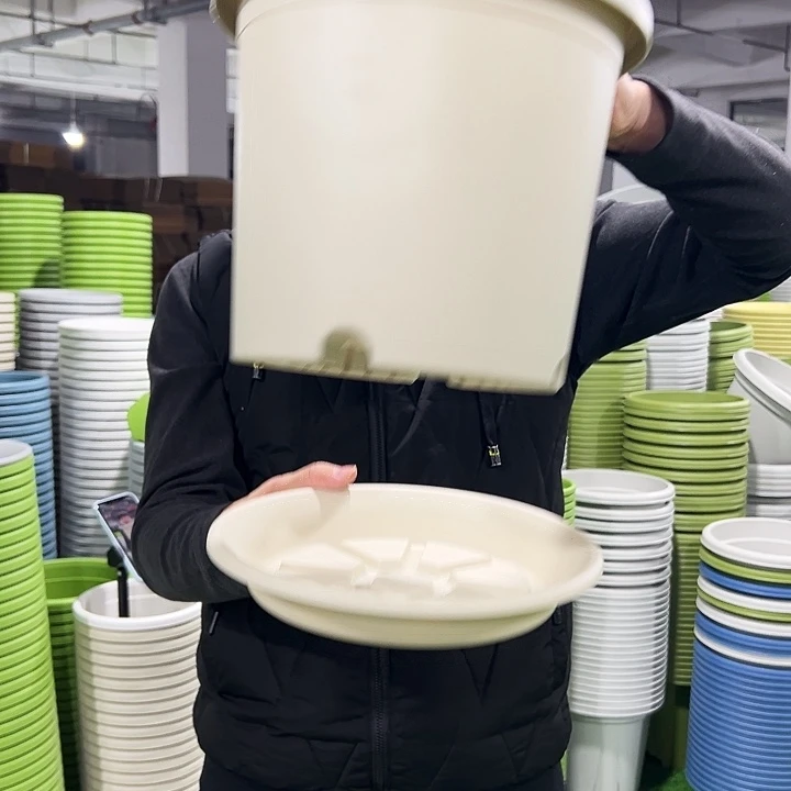 特价4号口25高21.5白色8只带托