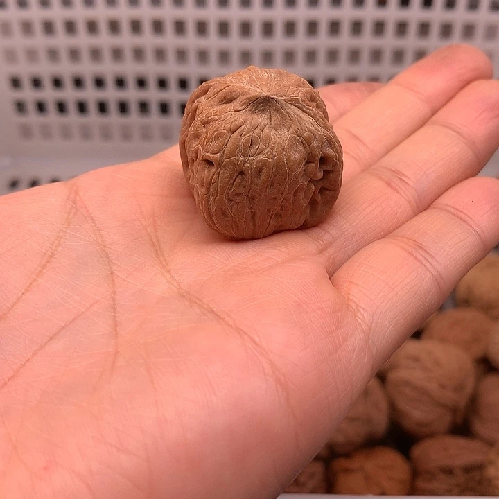 随***意吊坠文玩核桃文玩核桃