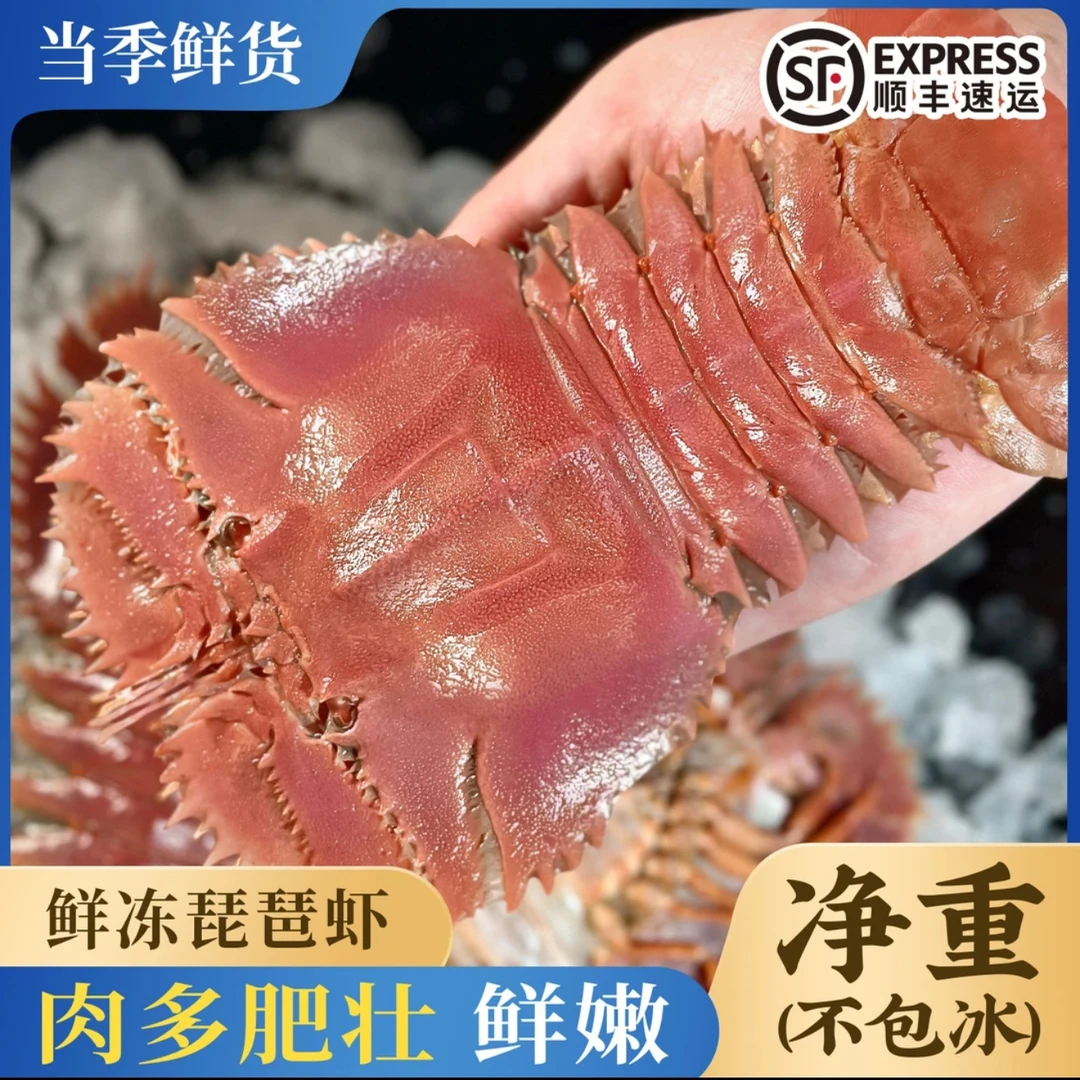 新鲜捕琵琶虾三斤发货鲜活冷冻九齿扇虾三斤装琵琶虾鲜活发货