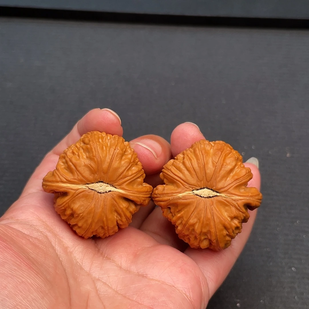 把件猴头核桃40×40精修打底球白狮子头A448
