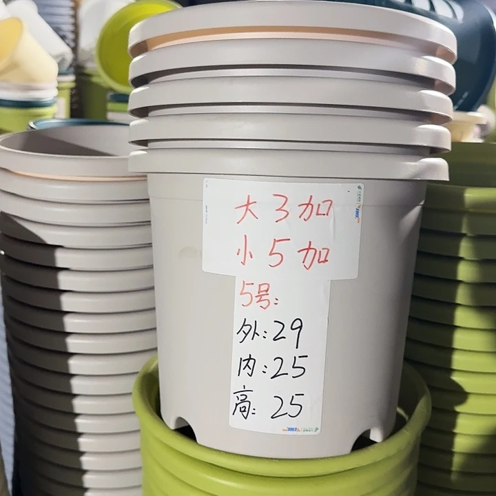 四季5#口径29灰白10个无托