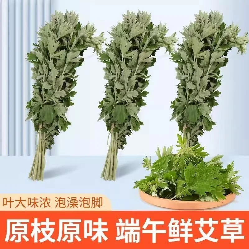 【顺丰包邮】端午节伏牛山新鲜艾草端午挂艾草泡脚